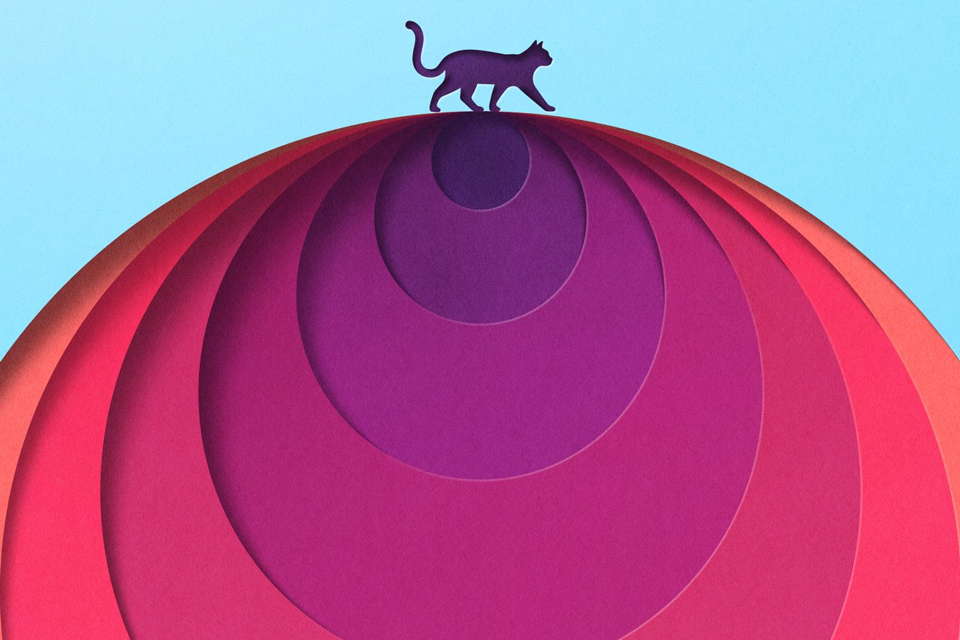 Schrodingers Cat Lives