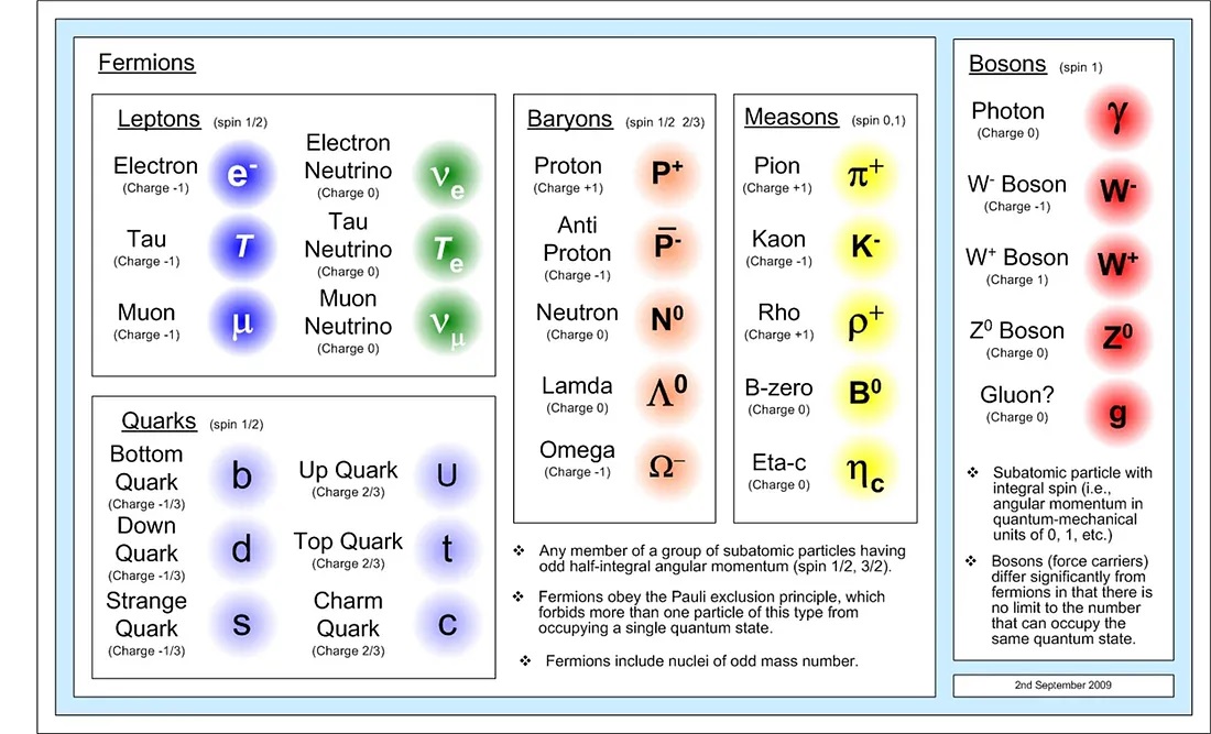 Standard Model particles