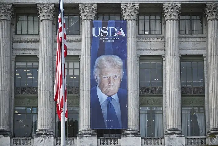 Trump Big Brother